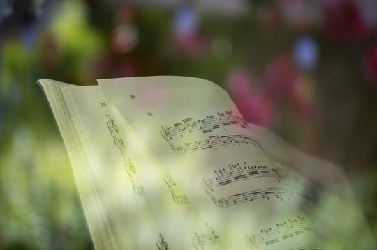 _DSC0452