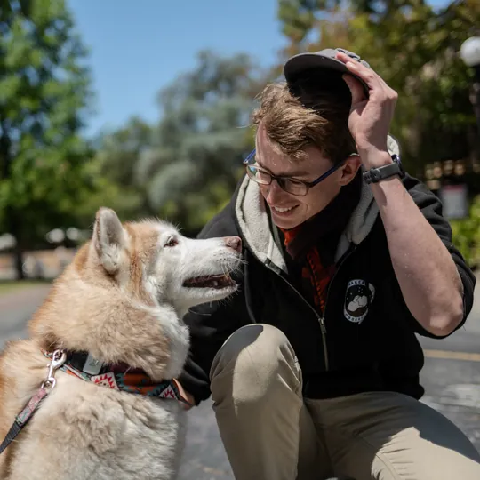 Lars crouched nose-to-nose with Lucy the husky in a sunlit park